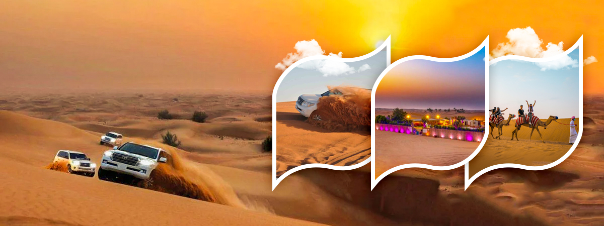 arabianeveningsafari